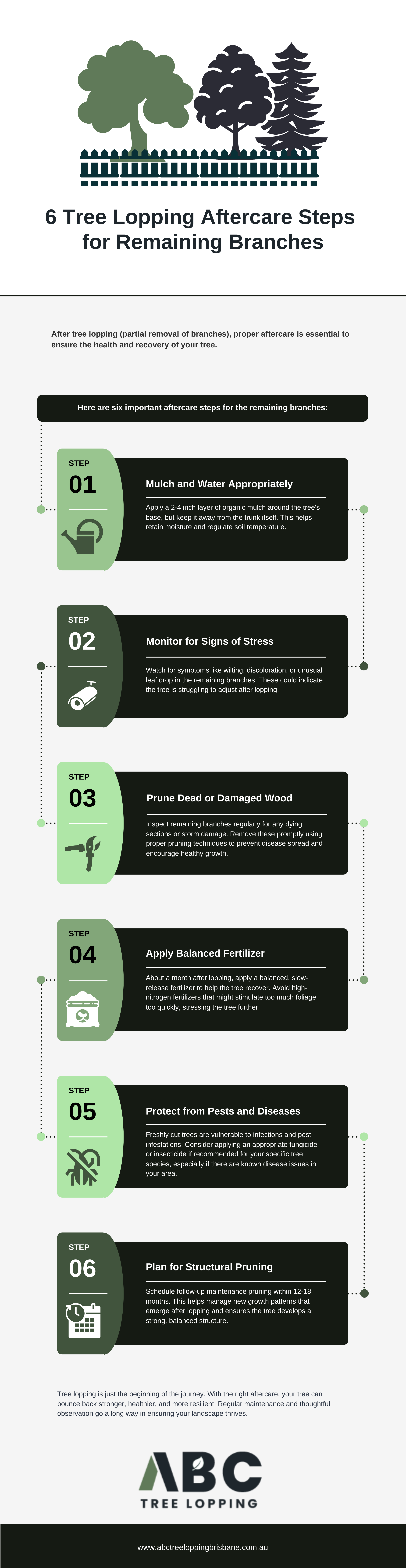 6 Tree Lopping Aftercare Steps For Remaining Branches Infographic